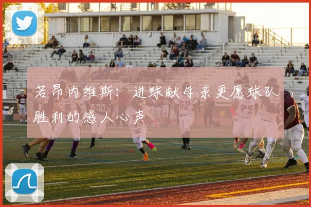 若昂内维斯：进球献母亲更愿球队胜利的感人心声