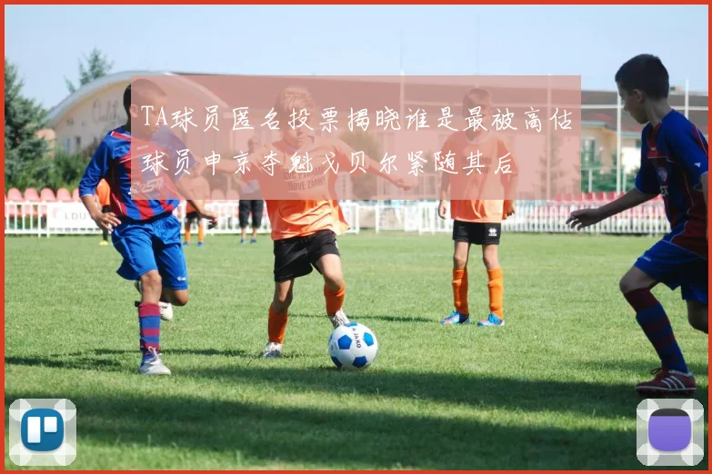 TA球员匿名投票揭晓谁是最被高估球员申京夺魁戈贝尔紧随其后