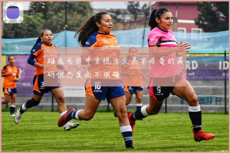 雄鹿或将申京视为交易字母哥的筹码但态度尚不明确