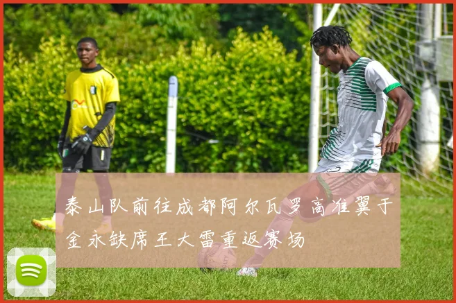 泰山队前往成都阿尔瓦罗高准翼于金永缺席王大雷重返赛场
